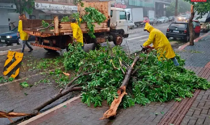 Temporal causa estragos em Califórnia e mobiliza equipes da prefeitura