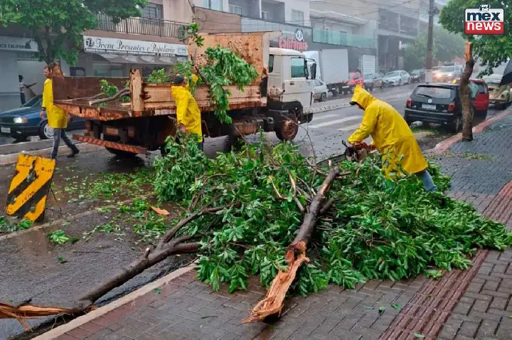 Temporal causa estragos em Califórnia e mobiliza equipes da prefeitura